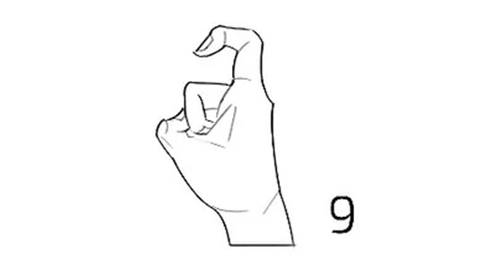 no 9