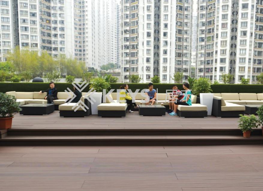 Roof Garden 